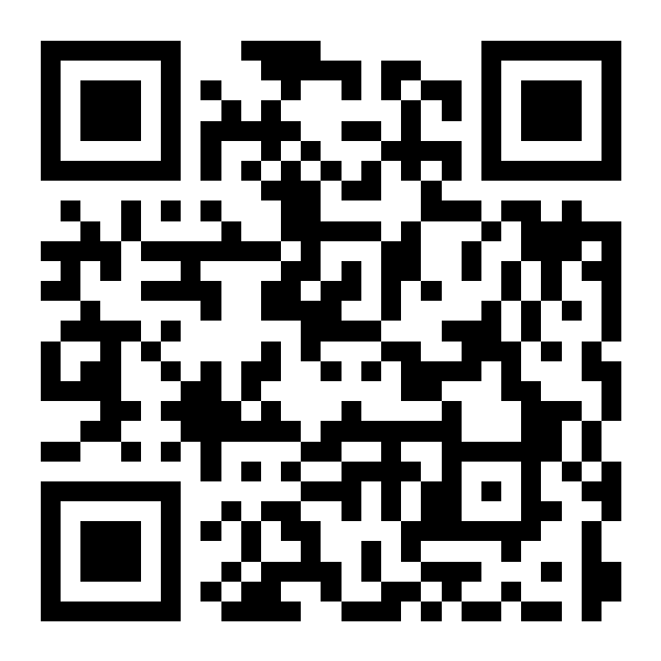 Demo QR Rescue code — scan to see a live example